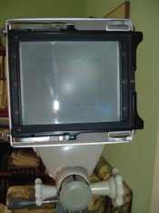DSC03743.JPG