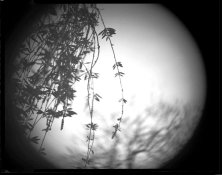 4x5~20.jpg