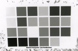 iso 25 negative on ilford.jpg