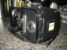 IMG_1933.jpg
