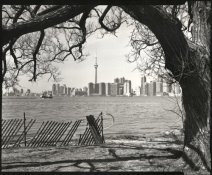 island-6.jpg