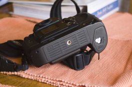 DSC_8501_apug.jpg