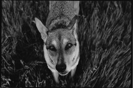 what's next_0001.jpg