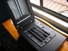 P1010030.JPG