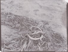 Scan-100425-0002 (2).jpg