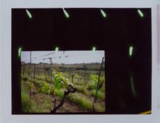 Scan-100502-0002.jpg