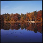 Apug Autumn Lake II.jpg