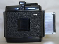 _DSC0008-1.jpg