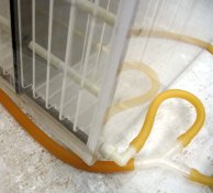 Manifold end.jpg