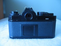 IMG_4050.JPG