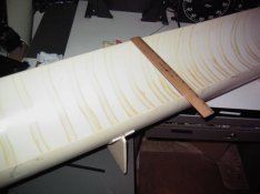 tray 3 small.jpg
