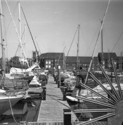 Image 1.jpg