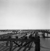 Image 11.jpg