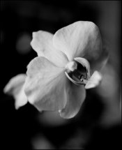 Untitled-1.jpg