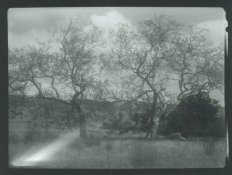 Image1.jpg