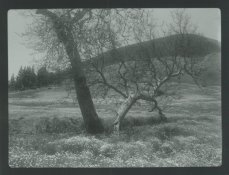 Image2.jpg