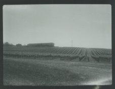 Image3.jpg
