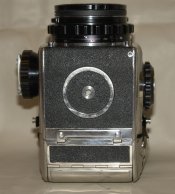bottom view.jpg