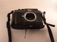 IMG_1482.JPG