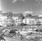 harbour.jpg