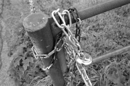 retro_tonal_rodinal125_100609_001_small.jpg