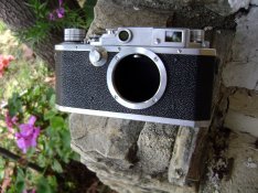 canon rf 1.jpg