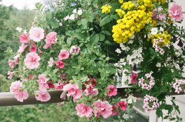 20100617_1.jpg