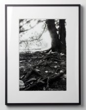 framed_pic1.jpg
