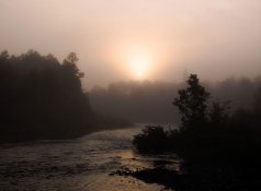 from cardwell's farm.jpg