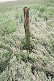 20100617_19c.jpg