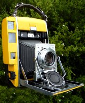 Yellow Cam APUG.jpg