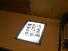 IMG_1287.jpg