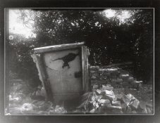 sk0015 - Copy.jpg