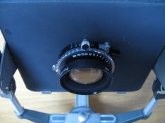IMG_0009.JPG