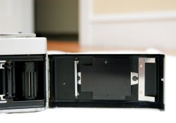 DSC_5435.jpg