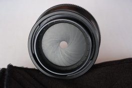 Novo-T-12.jpg