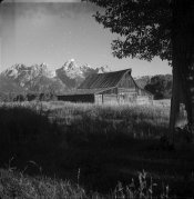 SCAN_291.jpg