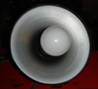 f7.jpg