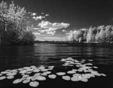 Untitled-6.jpg