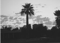 ARGUS DAY 8-10-10.jpg
