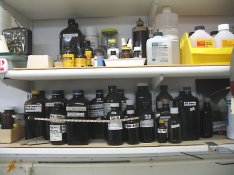 Bottles 4.JPG