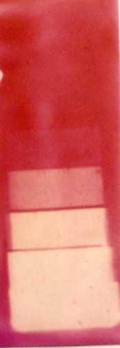 Azo machine coated.jpg