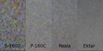 grain_peep.jpg