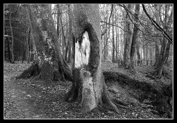 0720_08.jpg