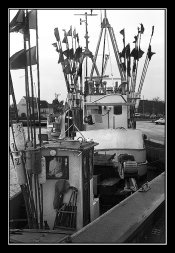 Adox_08.jpg