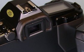 6503.jpg
