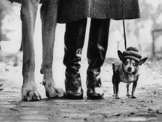 Elliott+Erwitt62.jpg