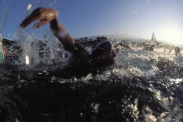 00035061swimstart.jpg