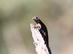 021_21b.jpg