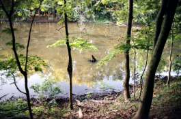 RockyRiverReservation.png